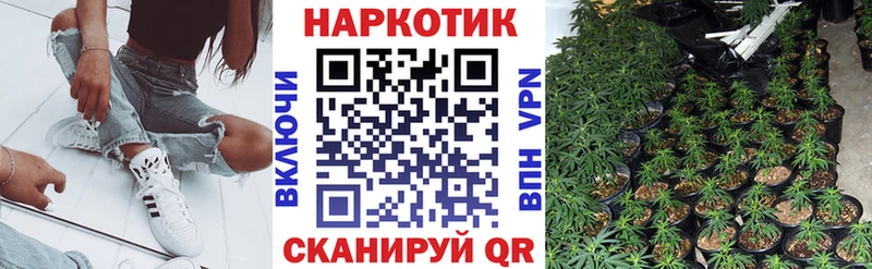 Где купить Снежногорск Alpha-PVP  ГАШИШ  АМФ  Конопля 