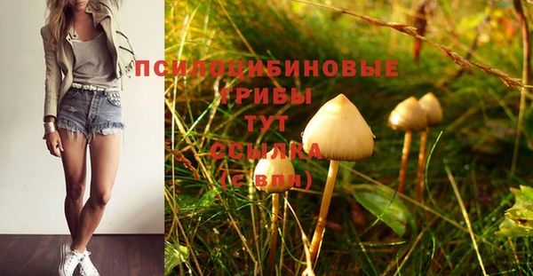 дмт Балахна