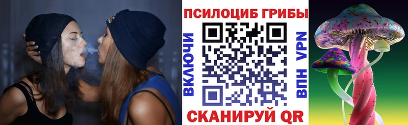Галлюциногенные грибы мицелий  купить  сайты  Снежногорск 